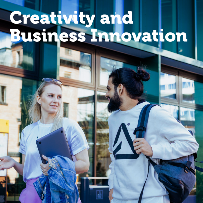 Creativity and Business Innovation
