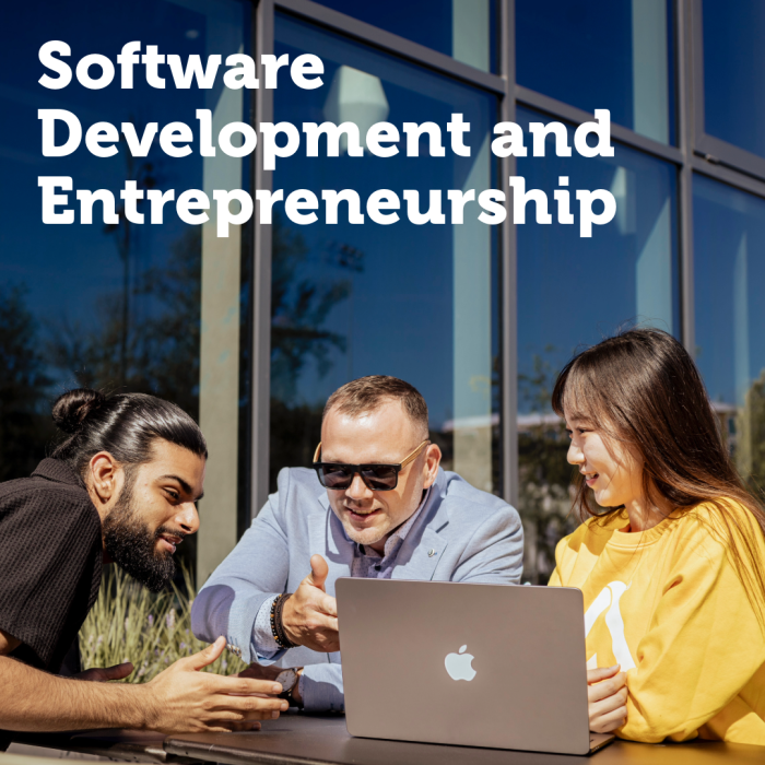 Software Development and Entrepreneurship