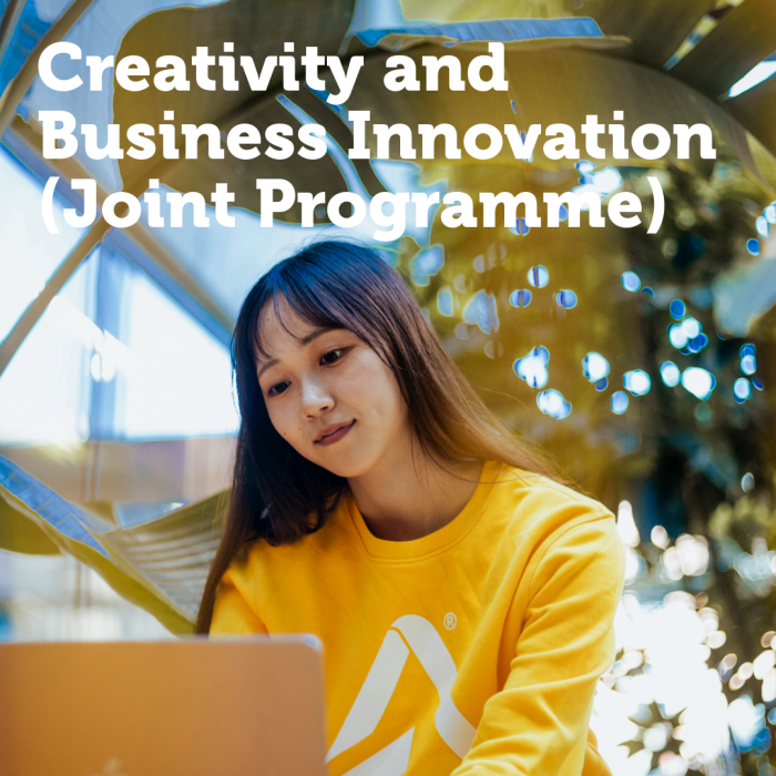 Creativity and Business Innovations Joint Programme